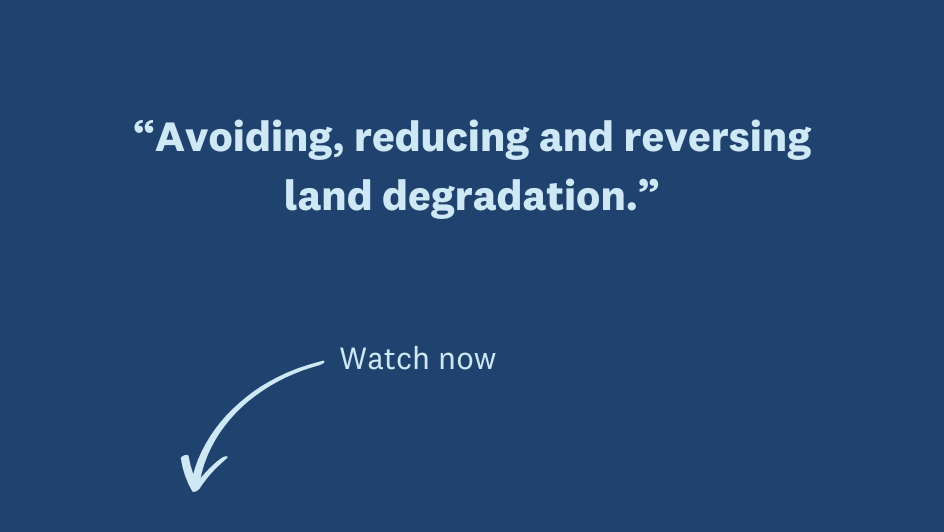What is land restoration? United Nations University